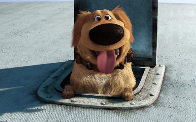 [잡담] 마크가 정우한테 닮았다고 한 엘리멘탈 업에 나오는 강아지 | 인스티즈