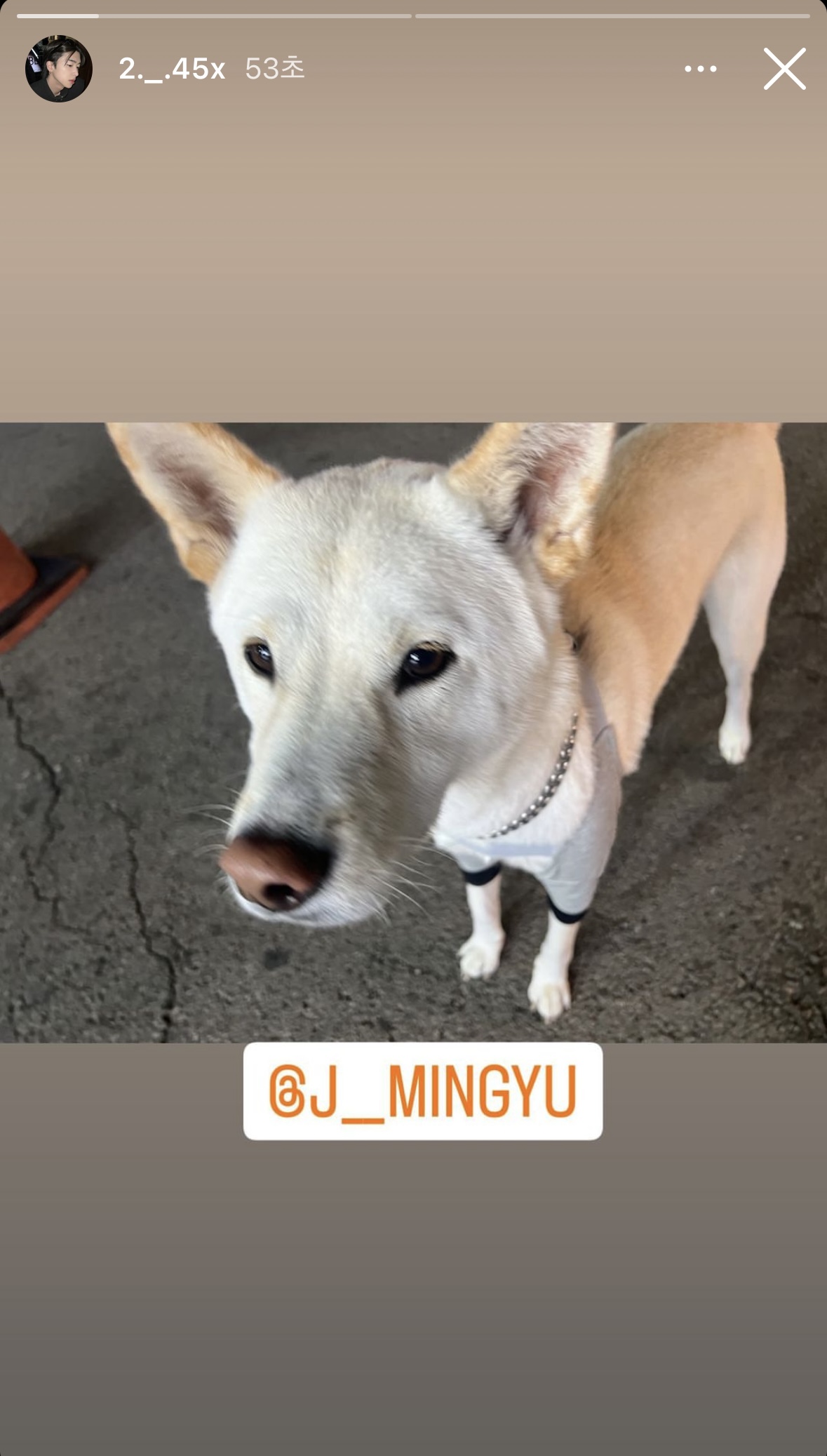 [잡담] 이동열 정민규네 강아지랑 만났나보다 ㅋㅋㅋㅋㅋ | 인스티즈