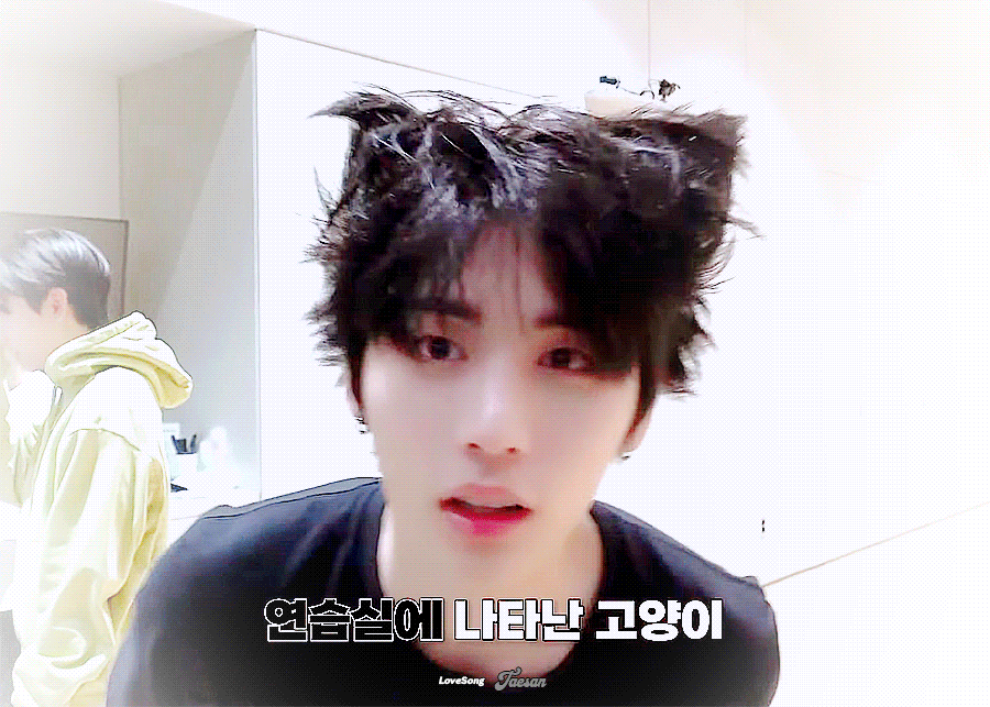 [잡담] 나 여기에 보넥도 껴서 제베원 라이즈 깜고라인 보고싶어 | 인스티즈