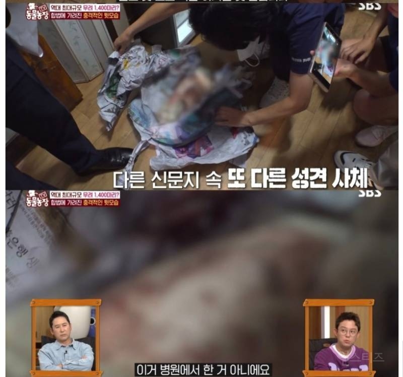 ?? : 보호소에 있는 애들은 더럽고 아프잖아요, 불법 아니고 인증 받은 정식 켄넬 에서 데리고왔어요^^ | 인스티즈