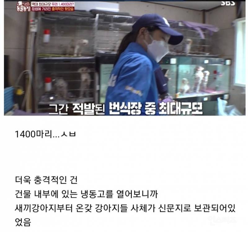 ?? : 보호소에 있는 애들은 더럽고 아프잖아요, 불법 아니고 인증 받은 정식 켄넬 에서 데리고왔어요^^ | 인스티즈