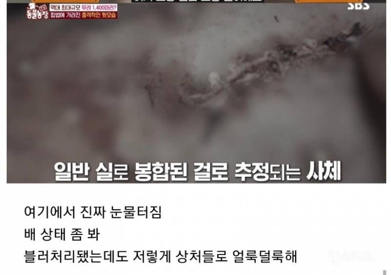 ?? : 보호소에 있는 애들은 더럽고 아프잖아요, 불법 아니고 인증 받은 정식 켄넬 에서 데리고왔어요^^ | 인스티즈