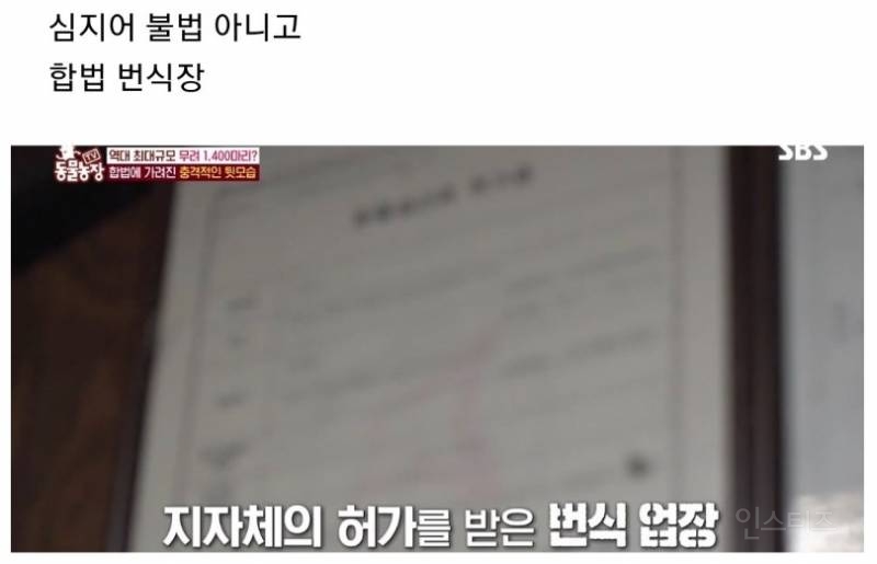 ?? : 보호소에 있는 애들은 더럽고 아프잖아요, 불법 아니고 인증 받은 정식 켄넬 에서 데리고왔어요^^ | 인스티즈