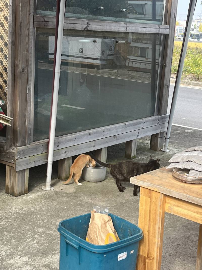 [잡담] 저기 우리집에서 뭐하니... | 인스티즈