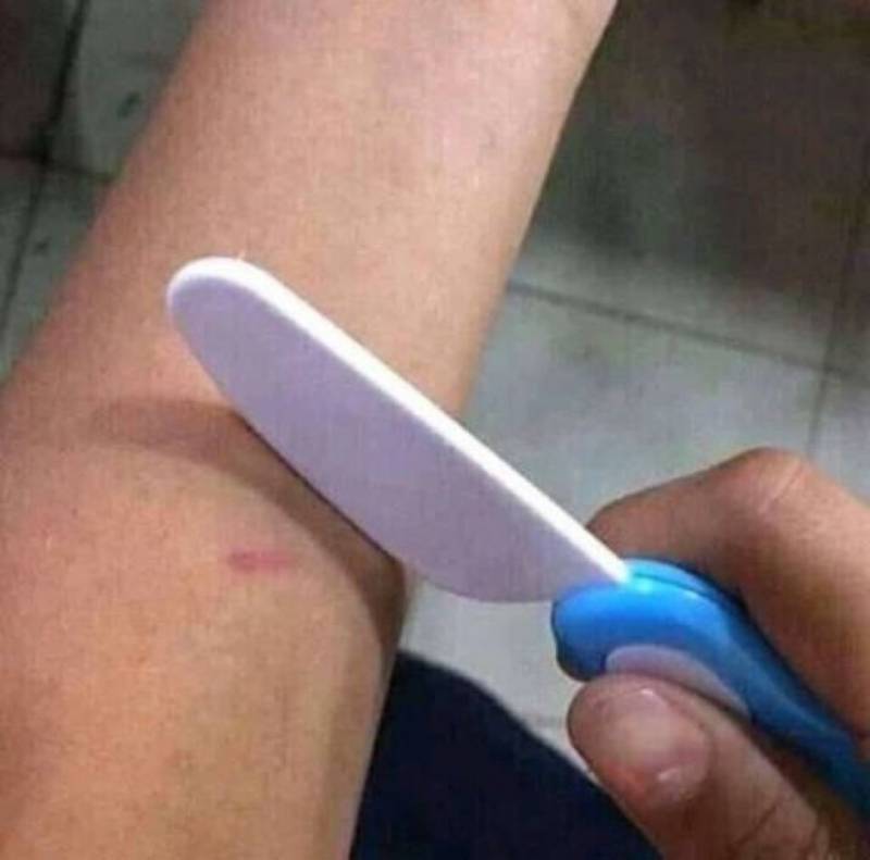 [잡담] 이거 프사로 하면 관종같아 ??? | 인스티즈