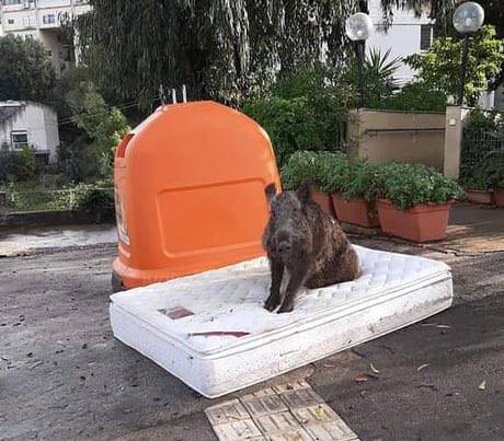 [잡담] 뭔 사진이야 이건??? | 인스티즈