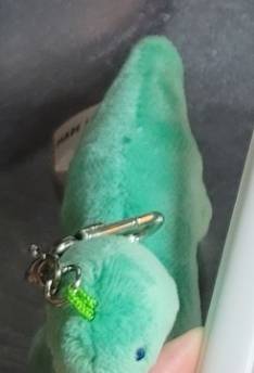 [잡담] 3주째 찾아도 못 찾는 공룡 키링 찾아줄 사람..ㅠ | 인스티즈