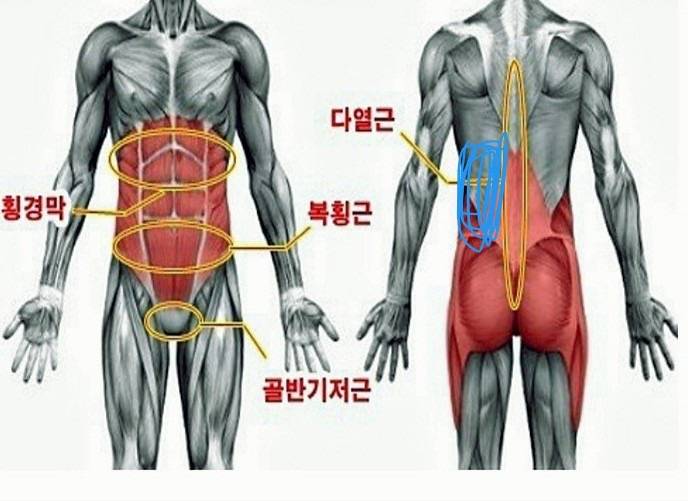 [잡담] 나 허리가 너무 아픈데 도대체 뭘까 | 인스티즈