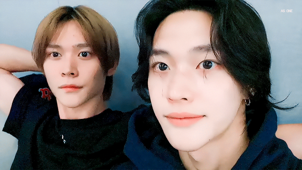 [잡담] 오늘의 고양이펫캠 박원빈 움짤 | 인스티즈