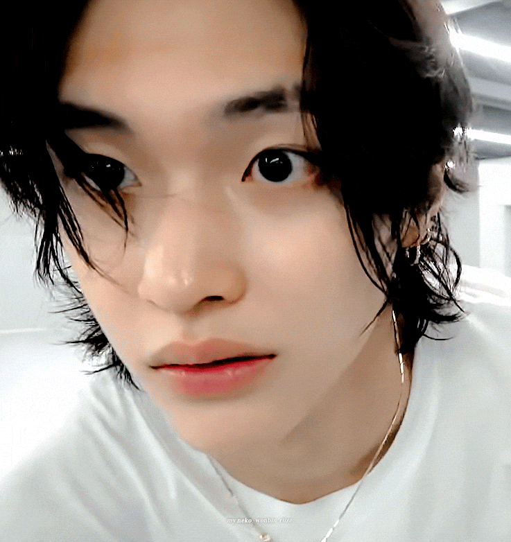 [잡담] 오늘의 고양이펫캠 박원빈 움짤 | 인스티즈