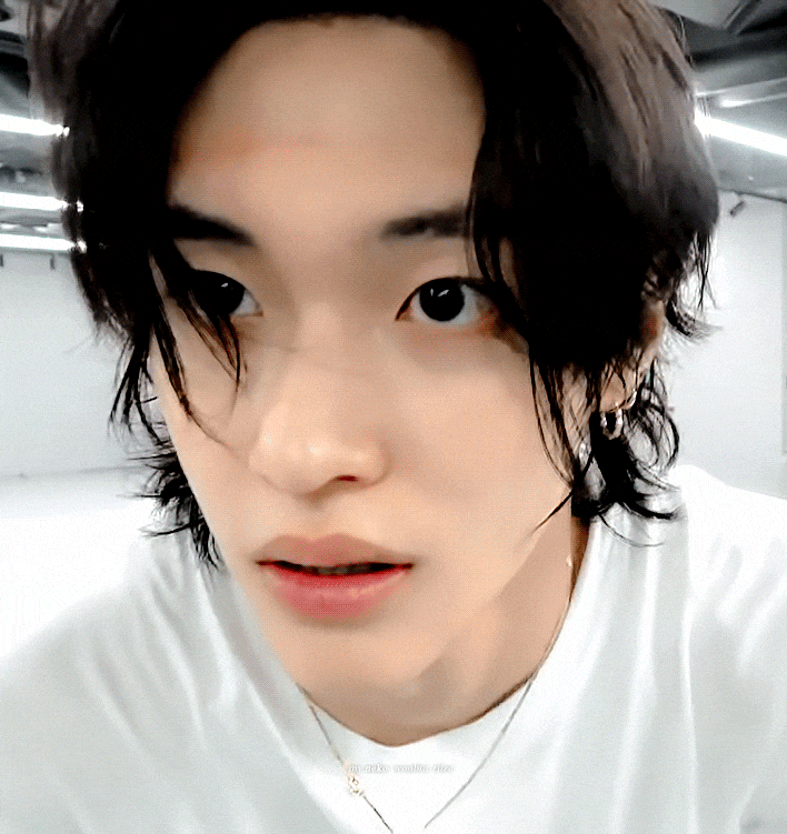 [잡담] 오늘의 고양이펫캠 박원빈 움짤 | 인스티즈