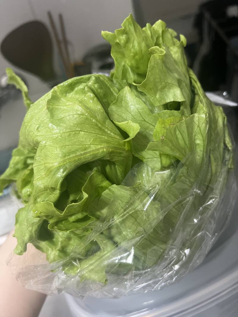 [잡담] 양상추가 원래 이랬나...??? | 인스티즈