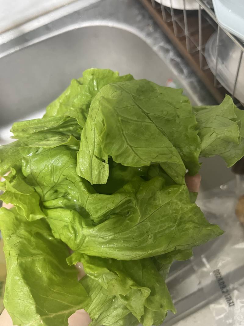 [잡담] 양상추가 원래 이랬나...??? | 인스티즈