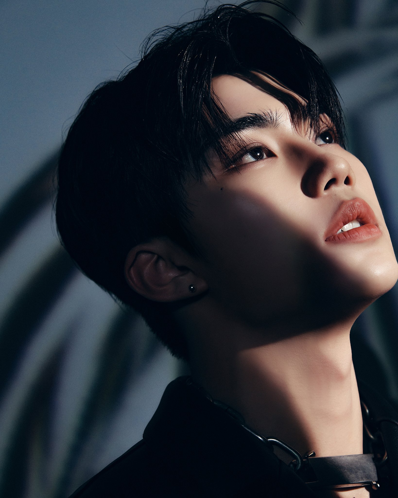 [잡담] 제베원 컨포로 내맘대로 정부군vs반정부군 나눠본다 | 인스티즈