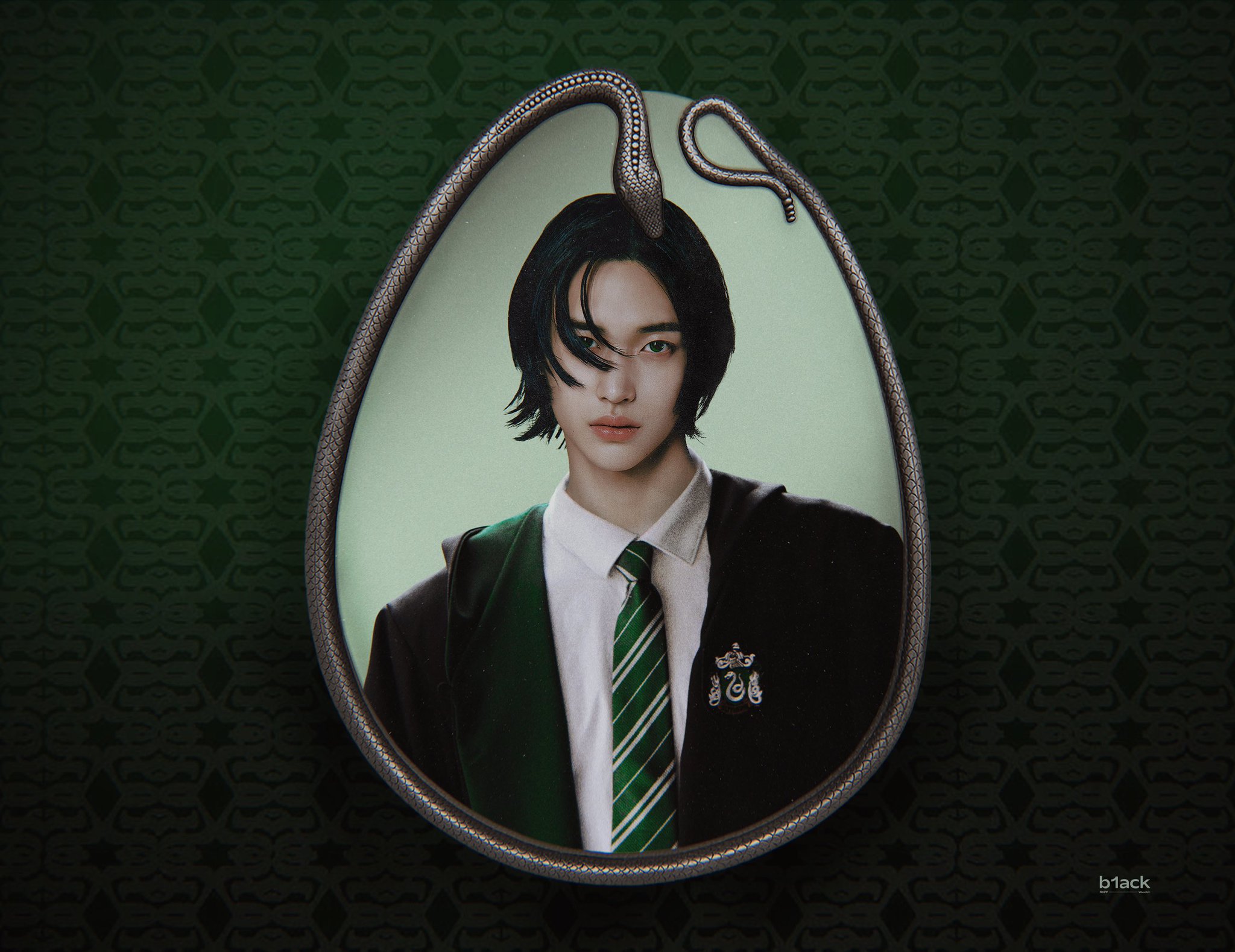 [잡담] 원빈이 슬리데린 쩐다 | 인스티즈