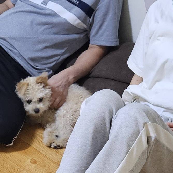 [잡담] 우리집 바보개가 내자리를 뺏었어 | 인스티즈