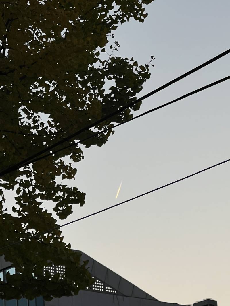 [잡담] 이게 몰까? 비행기인가? | 인스티즈