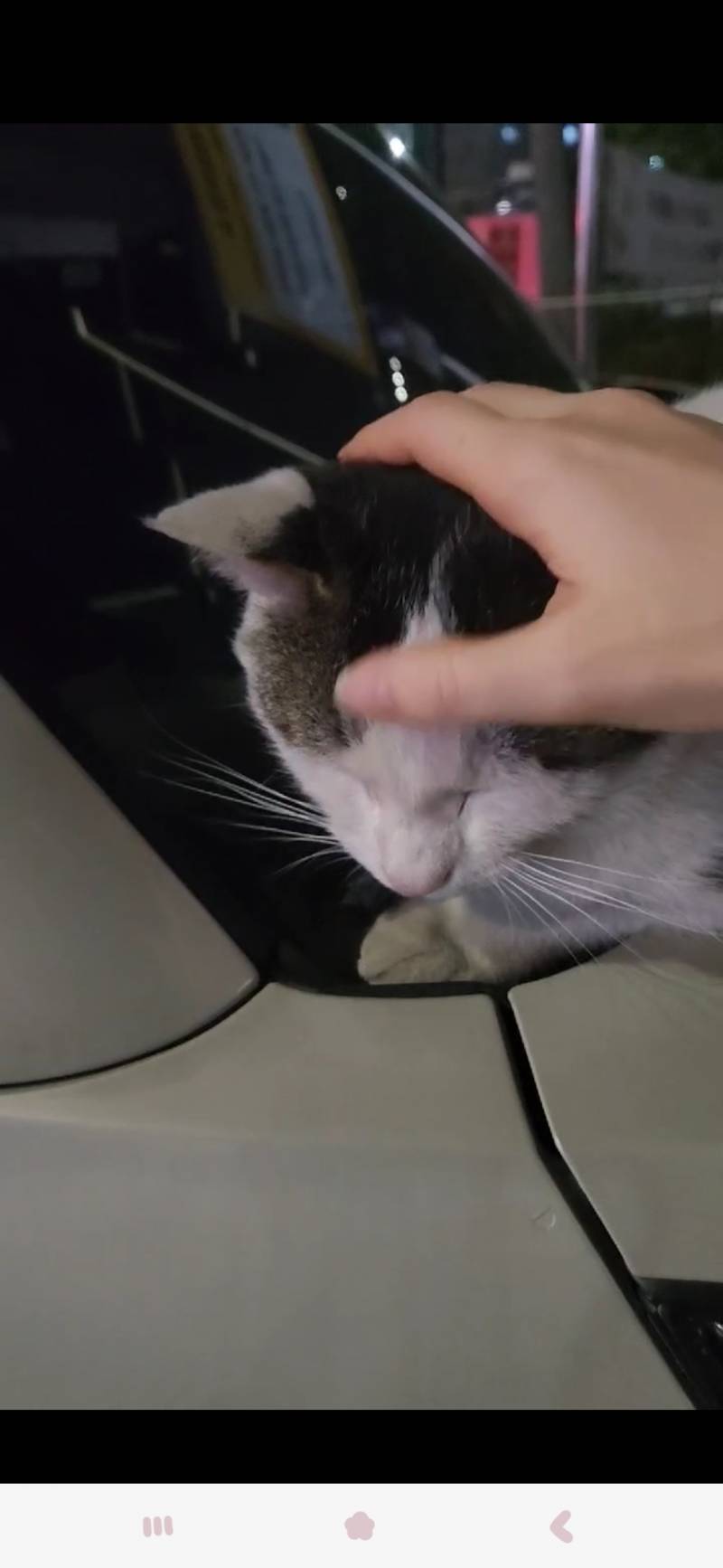 [잡담] 얘 나 좋아하는거 맞지 | 인스티즈