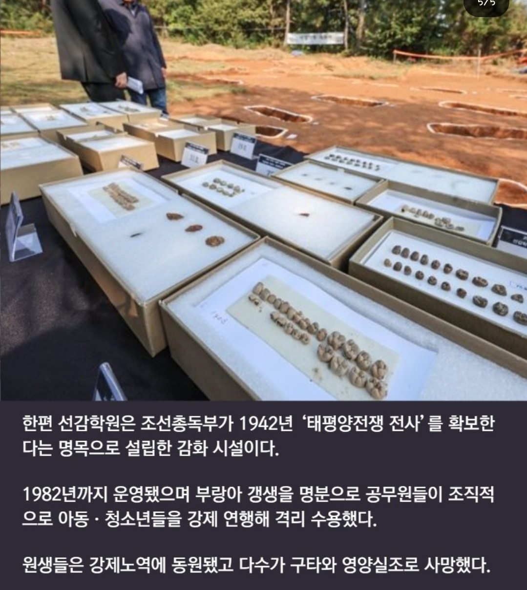 [정보/소식] 안산 선강학원서 '어린이 치아' 210개 발견돼.. 집단 암매장 확인 | 인스티즈