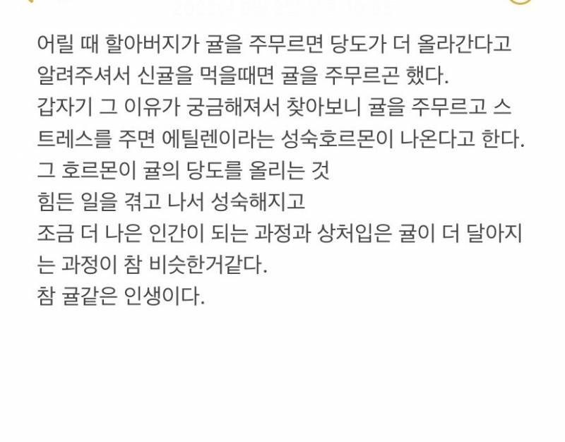 [잡담] 나 배울점 많은 사람 좋아하는데 알간지 진짜 넘 좋아 | 인스티즈