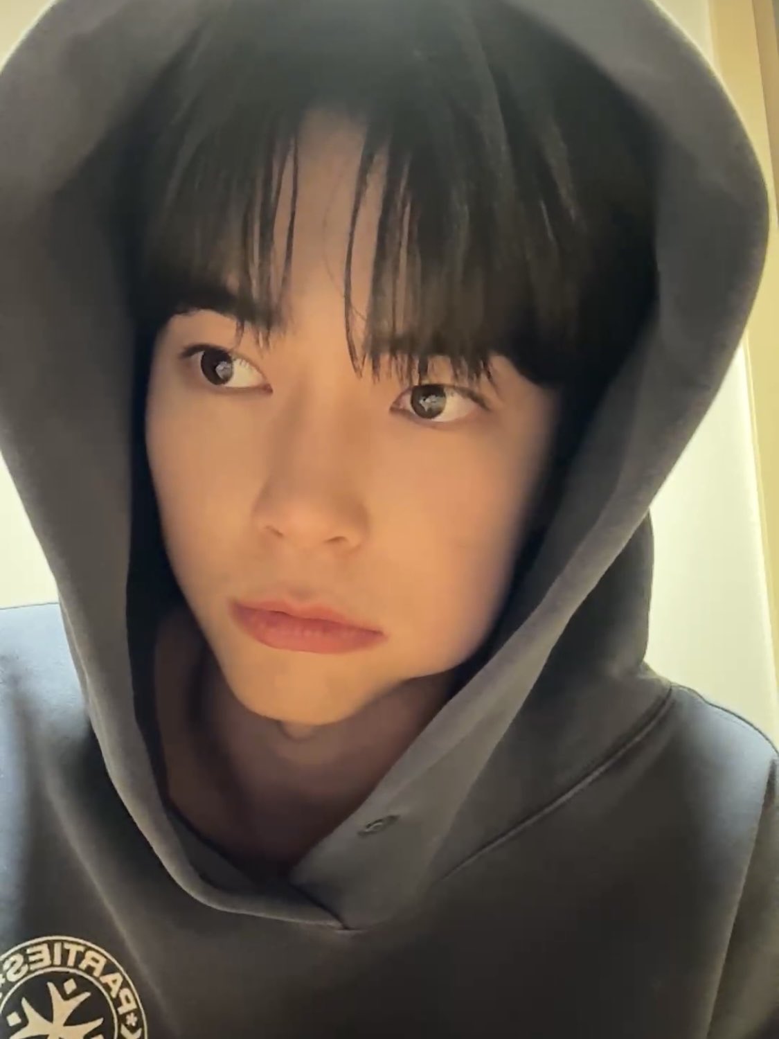 [잡담] 성한빈 후드 바이럴 샤인머스캣 바이럴 | 인스티즈