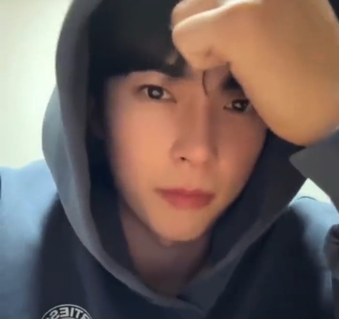 [잡담] 성한빈 후드 바이럴 샤인머스캣 바이럴 | 인스티즈