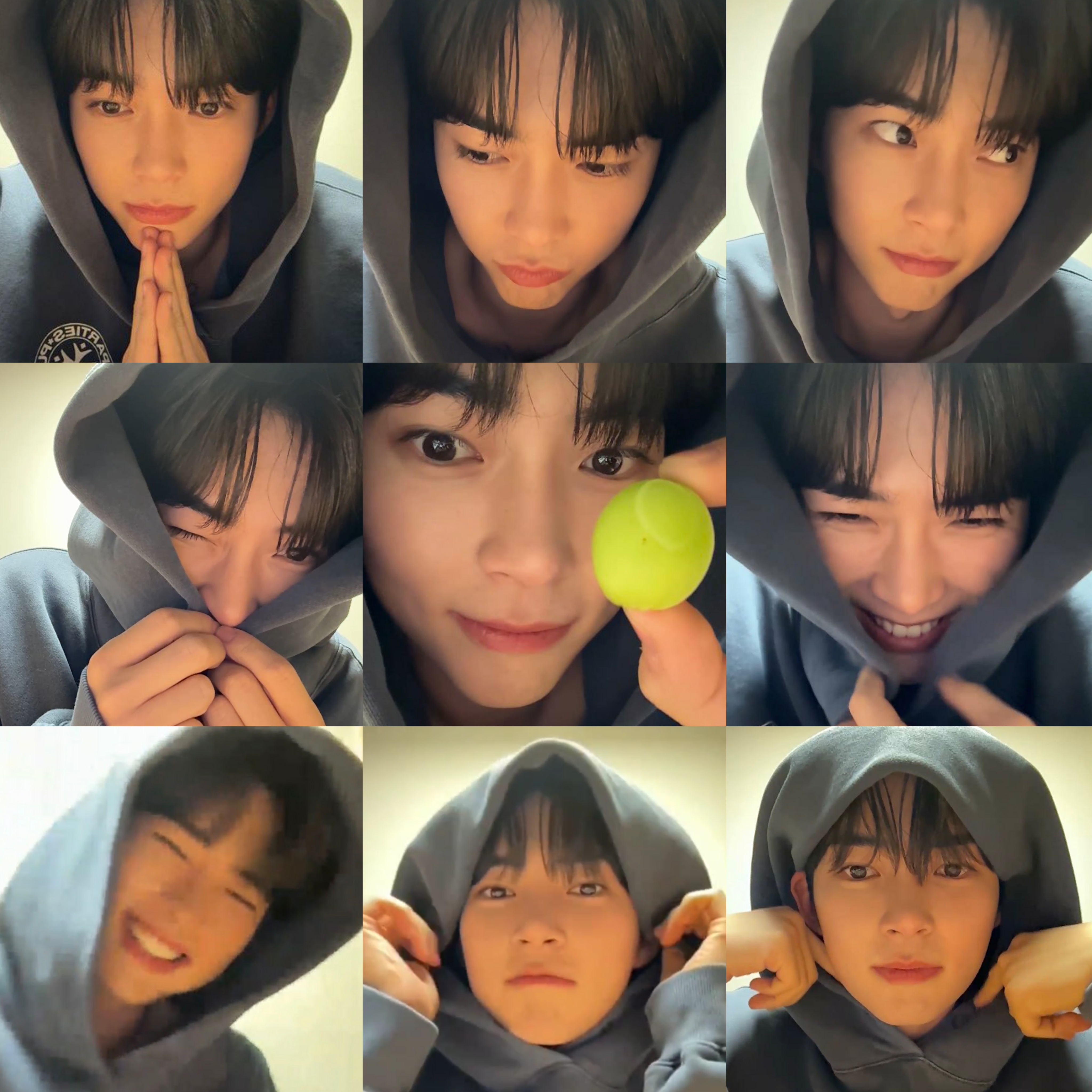 [잡담] 미친 성한빈 이러고 버블 라방한 거 실환가 | 인스티즈