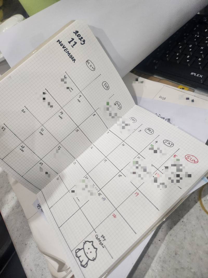 [잡담] 다이어리 샀는데 올해 12월부터 있어서 11월은 그림 | 인스티즈