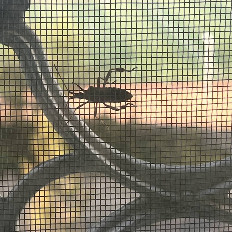 [잡담] 이거 바선생이야?? ㅎㅇㅈㅇ | 인스티즈