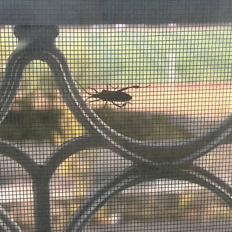 [잡담] 이거 바선생이야?? ㅎㅇㅈㅇ | 인스티즈