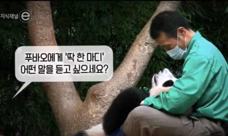 [잡담] 비상이다...일하다말고 눈물 흘리는중... | 인스티즈