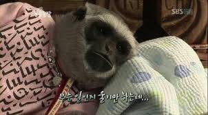 [잡담] 똥꼬 낯 가리는 익들 있어,,? | 인스티즈