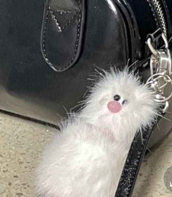 [잡담] 이 키링 어디서 파는지 아는사람 | 인스티즈