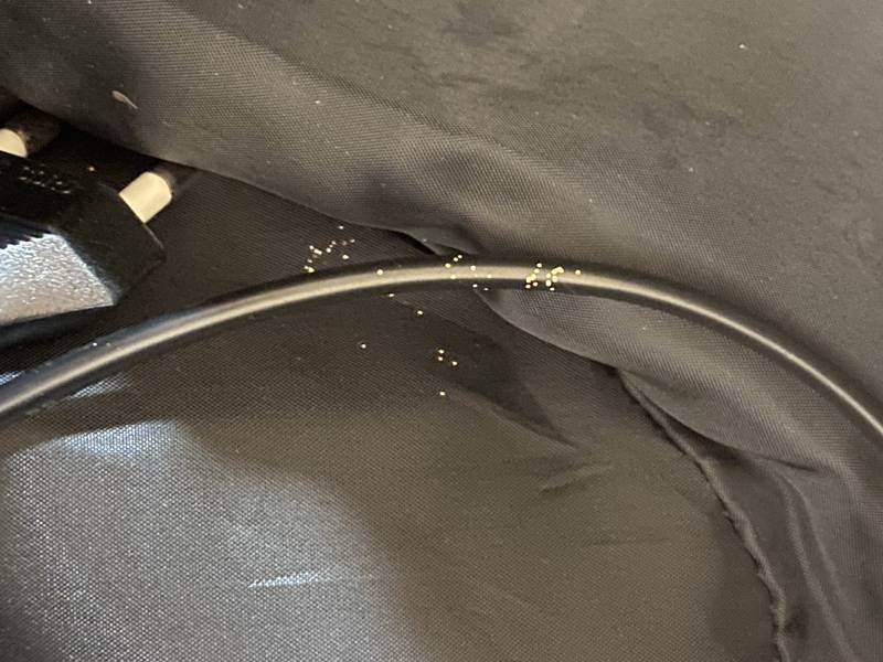 [잡담] 이거 무슨 알 같아? ㅎㅇㅈㅇ | 인스티즈