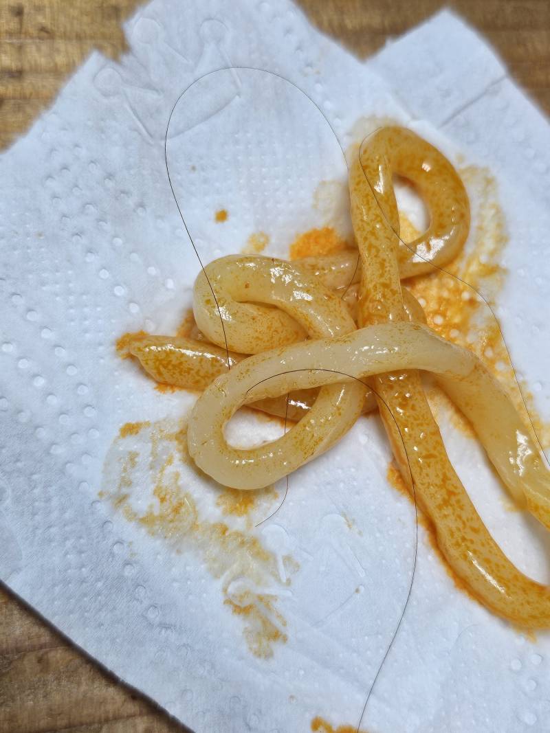 [잡담] 우동에서 머리카락 나왔는데 | 인스티즈