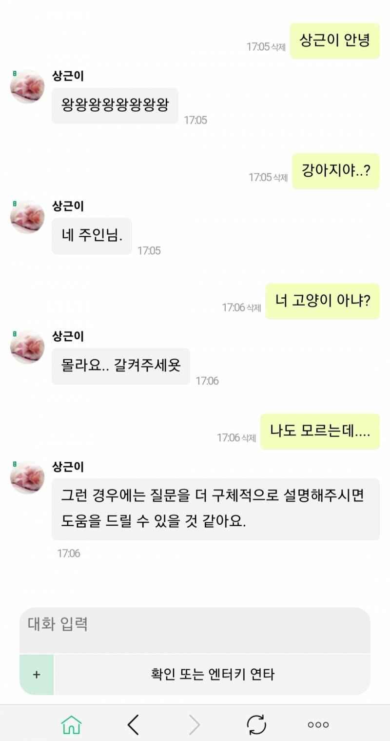 [잡담] 상근이 고양이야? | 인스티즈