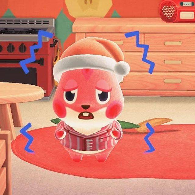 [잡담] 익들아 제발 내 고민 1초만 봐줘 진짜 짧고 귀여운 고민이야 | 인스티즈