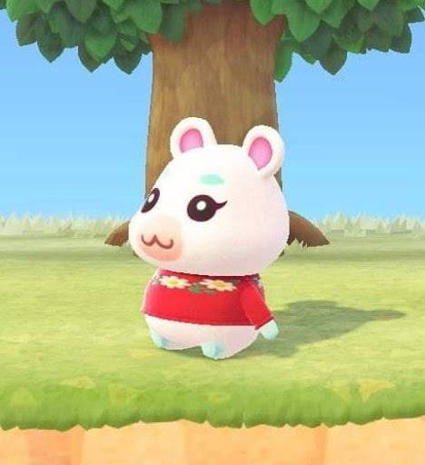 [잡담] 익들아 제발 내 고민 1초만 봐줘 진짜 짧고 귀여운 고민이야 | 인스티즈