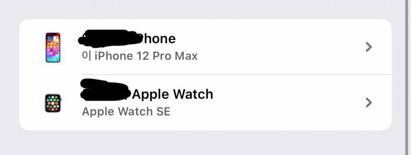 [잡담] 이렇게 뜨면 se2가 아니라 se인거야..? ㅠㅠ 사기당한거 같아 | 인스티즈