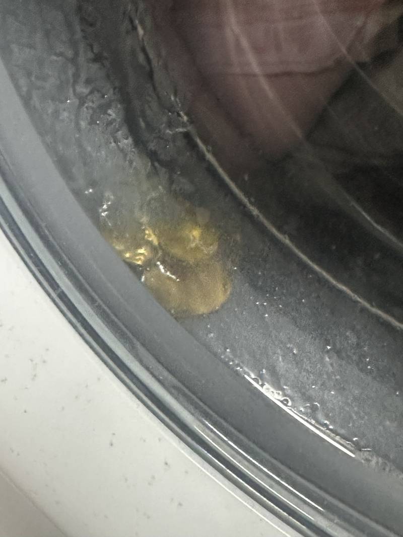 [잡담] 익들아 세탁 세제가 여기꼇어 | 인스티즈