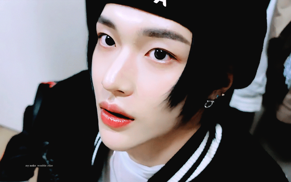 [잡담] 원빈원빈.. 너 진짜 고양이야? | 인스티즈