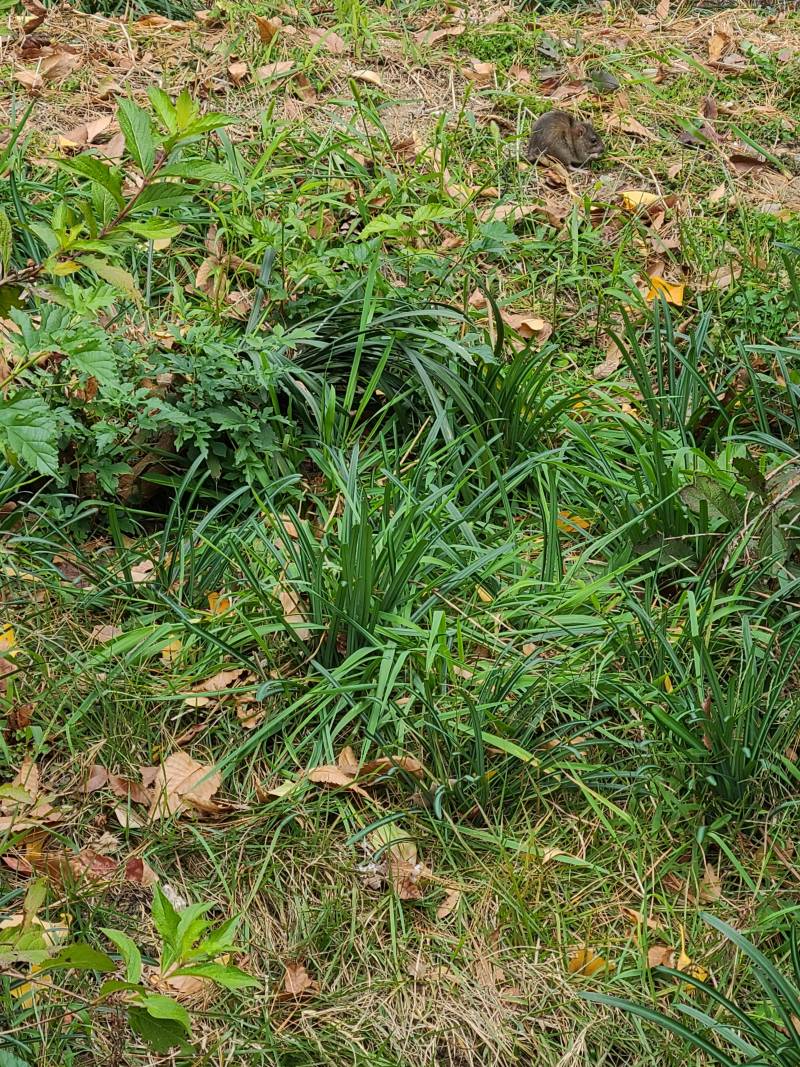 [잡담] !!숨은 그림 찾기!! | 인스티즈