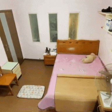 [잡담] 이거 개짤 볼때마다 진심 사람 환생한거 아닌가 싶은데 진짜야? | 인스티즈