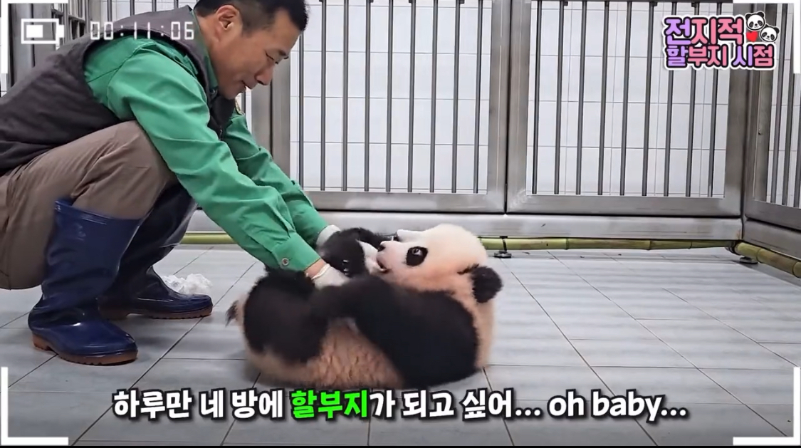 [잡담] 나 진짜 강바오님이 너무 부럽다… | 인스티즈