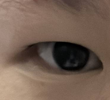 [잡담] 익들아 이거 무쌍 아니고 속쌍이야? | 인스티즈