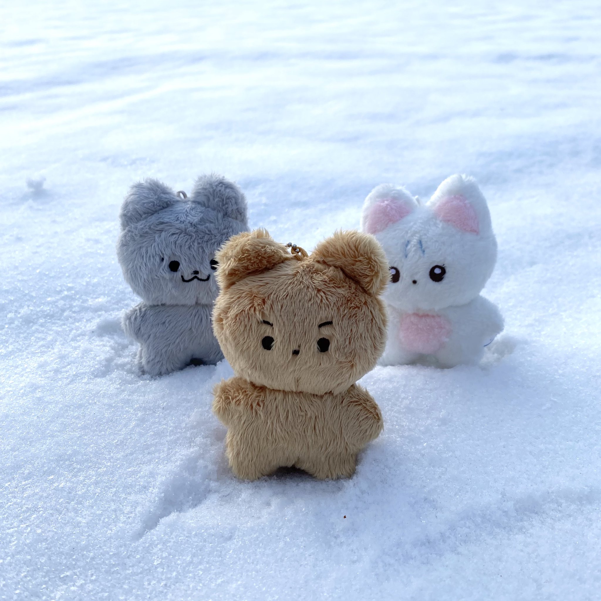 [잡담] 내가 귀여워하는 아이돌 인형들 | 인스티즈