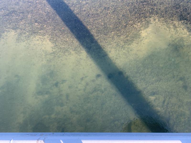 [잡담] 다리 건너 가다가 내려다 봤는데 | 인스티즈