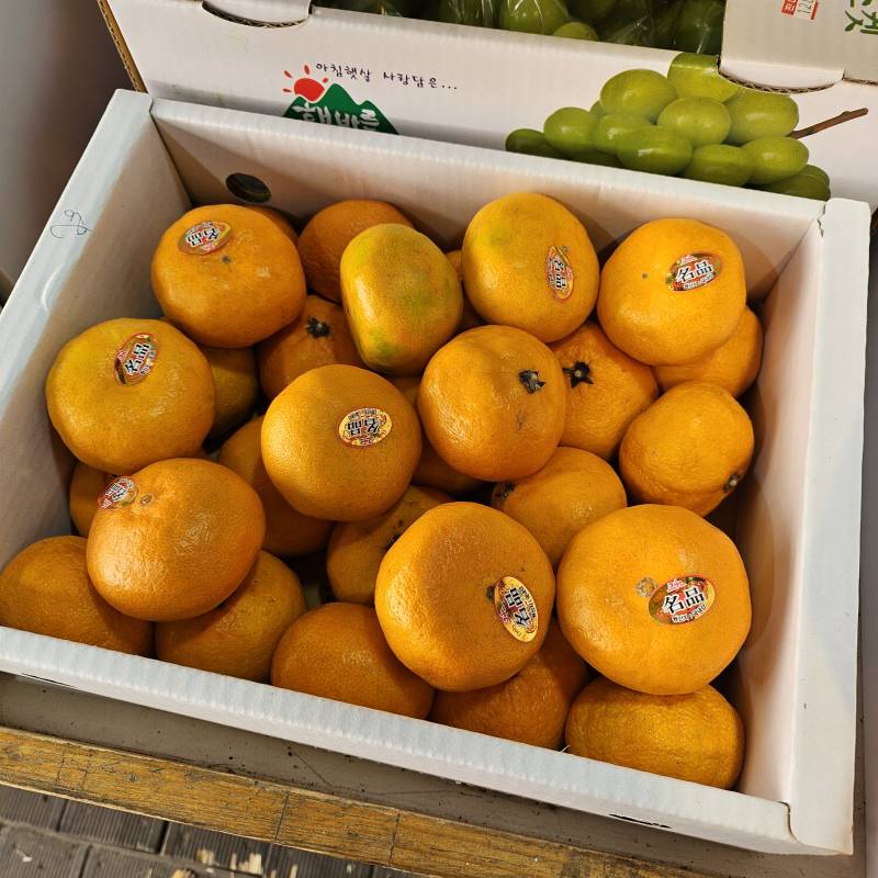 [잡담] 귤 8천 원인데 싼 거지? | 인스티즈