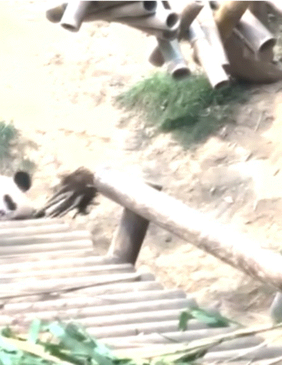 혐오가 판치는 요즘 이걸로 힐링하는 사람 많음 | 인스티즈
