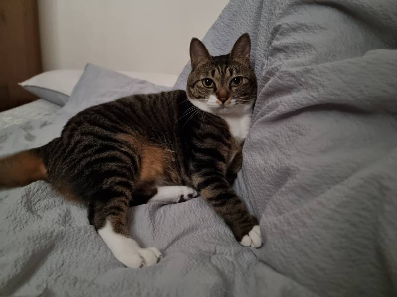 [잡담] 아니 주인님 웃기다ㅋㅋㅋ | 인스티즈